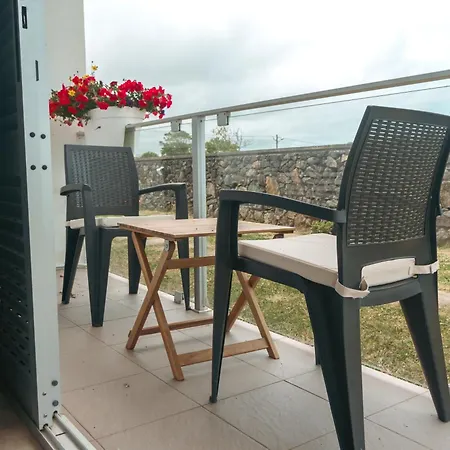 Bio Vida * São Vicente Ferreira